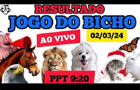 resultado jogo do bicho paratodos bahia de hoje - resultado loteria bahia